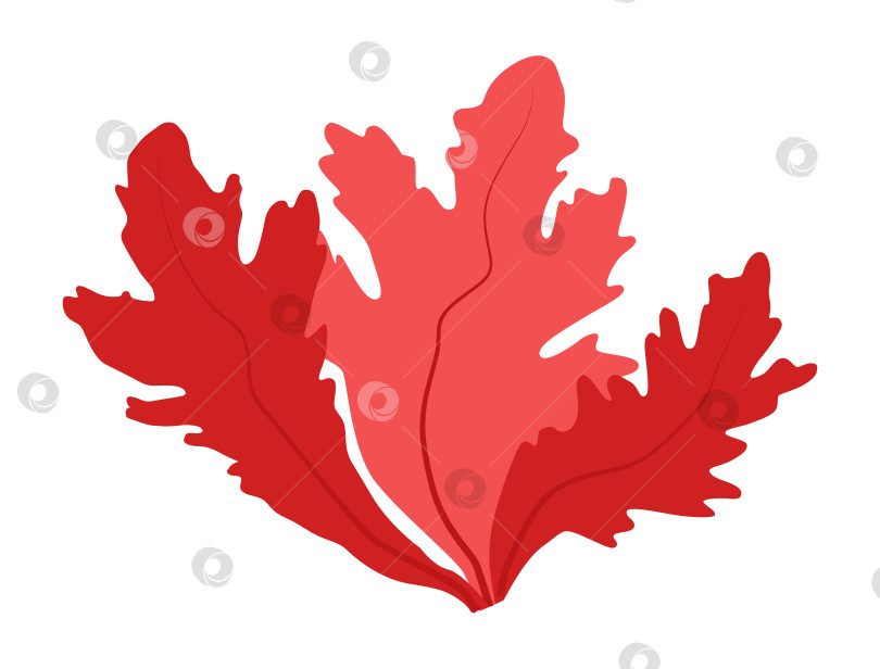 Скачать Куст красных водорослей, выделенный для логотипа, иконки и дизайна. Логотип из морских водорослей фотосток Ozero