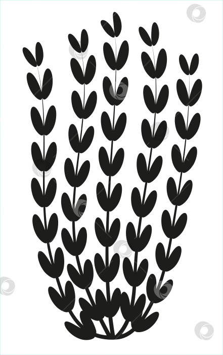 Скачать Силуэт морских водорослей для дизайна логотипа, морская тематика фотосток Ozero