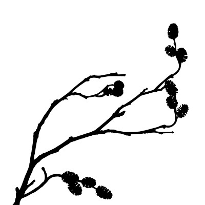 [object Object] undefined