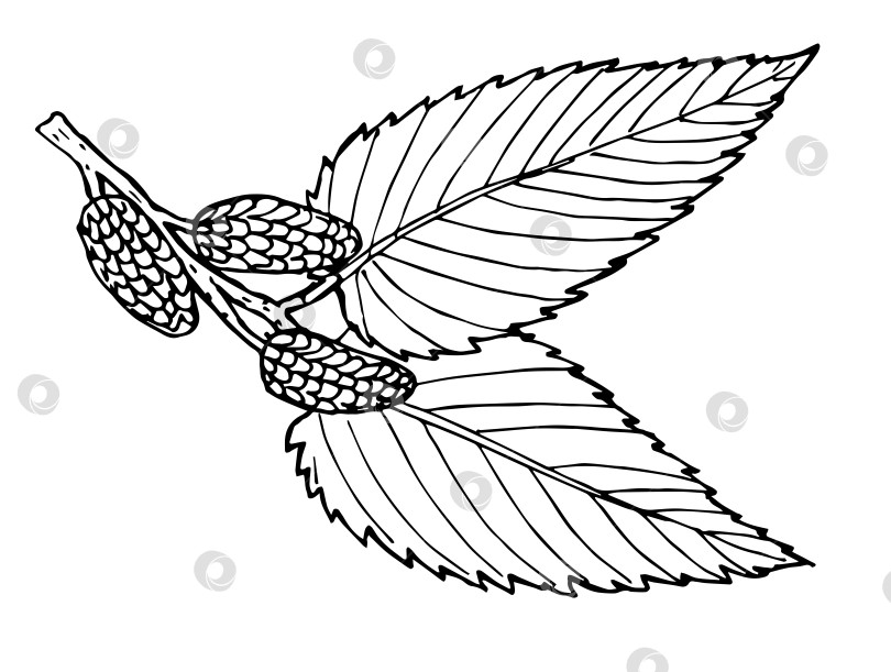 Скачать Березовая ветка черешни с серьгами ручной работы с рисунком фотосток Ozero