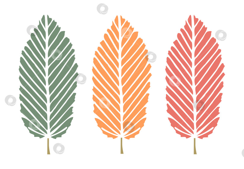 Скачать Деревья, идея осенних деревьев, листьев и перьев. Красивые абстрактные формы растений и животных. фотосток Ozero