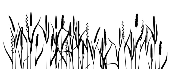 [object Object] undefined