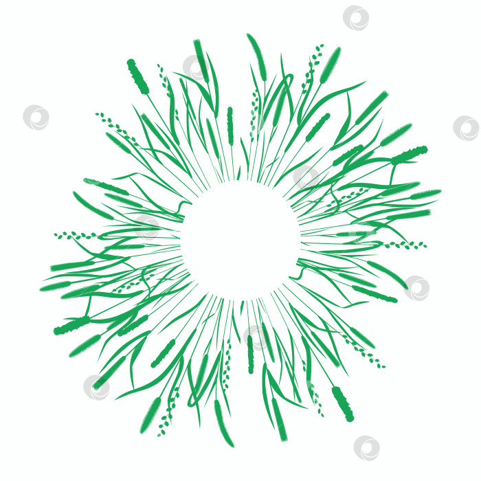 Скачать Круглая рамка для надписей с силуэтами зеленых злаковых луговых трав фотосток Ozero