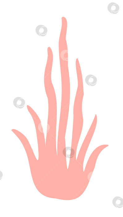 Скачать Контурный логотип из морских водорослей розового цвета фотосток Ozero