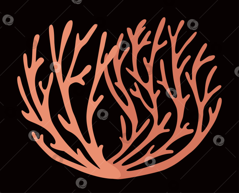 Скачать Две веточки красного коралла на черном фоне фотосток Ozero