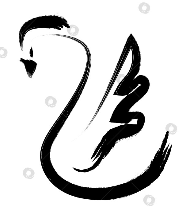 Скачать Схематичные линии птицы-лебедя в стиле гранжевой живописи тушью фотосток Ozero
