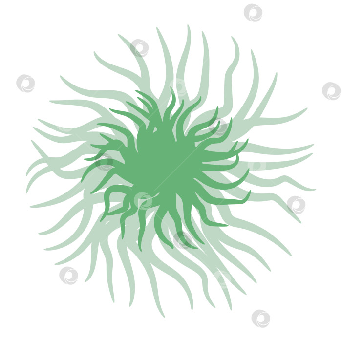 Скачать Логотип из морских водорослей, абстрактное растение, водоросли внизу фотосток Ozero