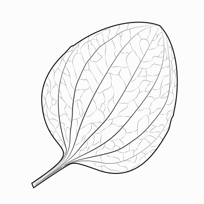 [object Object] undefined