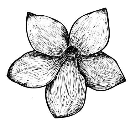 [object Object] undefined