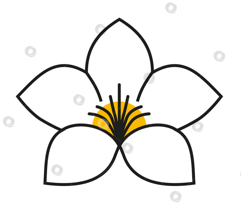 Скачать Логотип завода "Цветок аламанды" на белом фоне фотосток Ozero