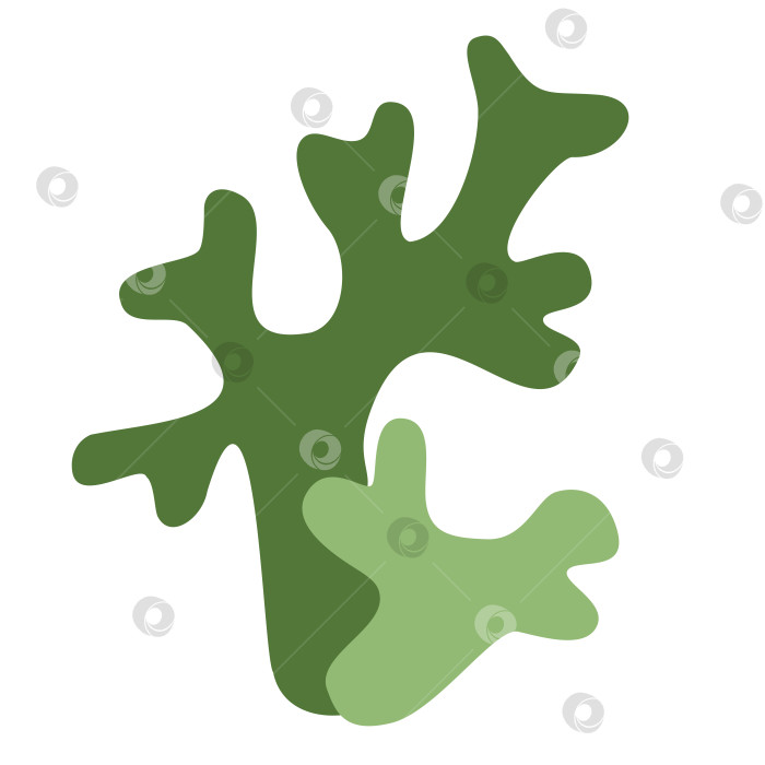 Скачать Значок логотипа исландского зеленого мха фотосток Ozero