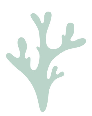 [object Object] undefined