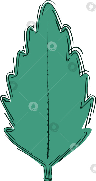 Скачать Лист крапивы с контуром, логотип фотосток Ozero