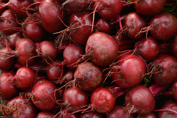 [object Object] undefined