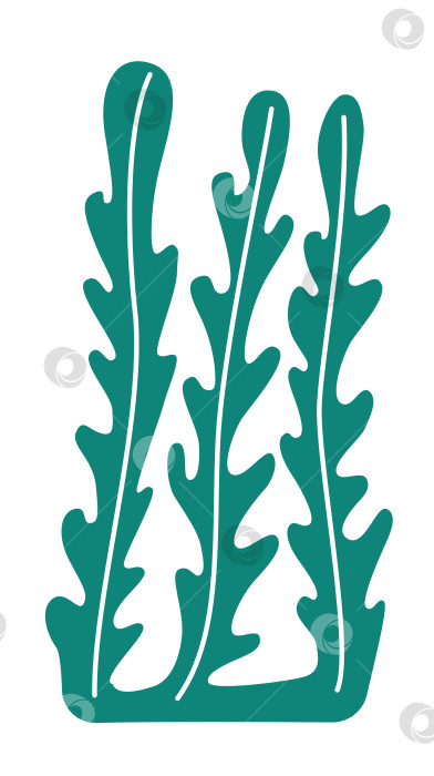 Скачать Три веточки морских водорослей красивым силуэтом на белом фоне одного корня фотосток Ozero