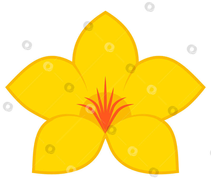 Скачать Логотип с желтым цветком аламанды фотосток Ozero