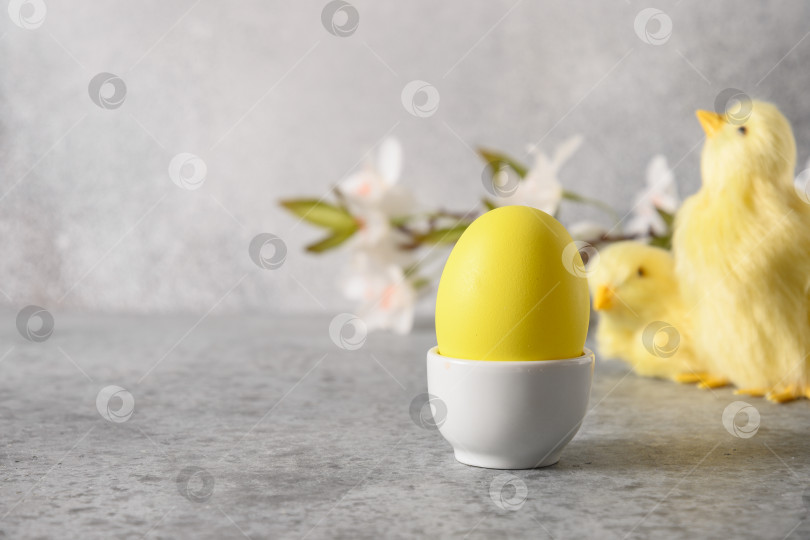Скачать Пасхальная композиция с желтым яйцом, цыпленком и весенними цветами фотосток Ozero