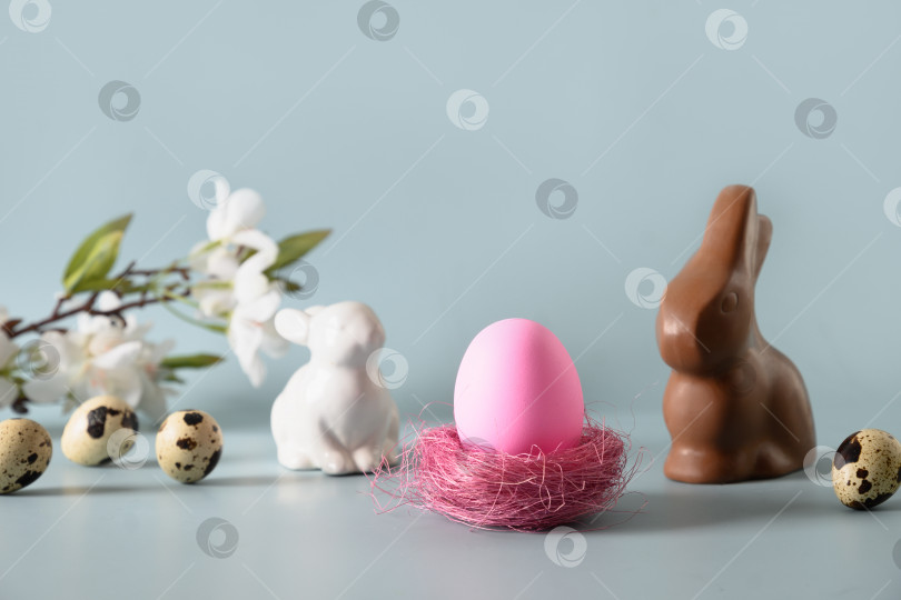 Скачать Пасхальное розовое яйцо и шоколадный кролик в весенней композиции на голубом фоне. фотосток Ozero