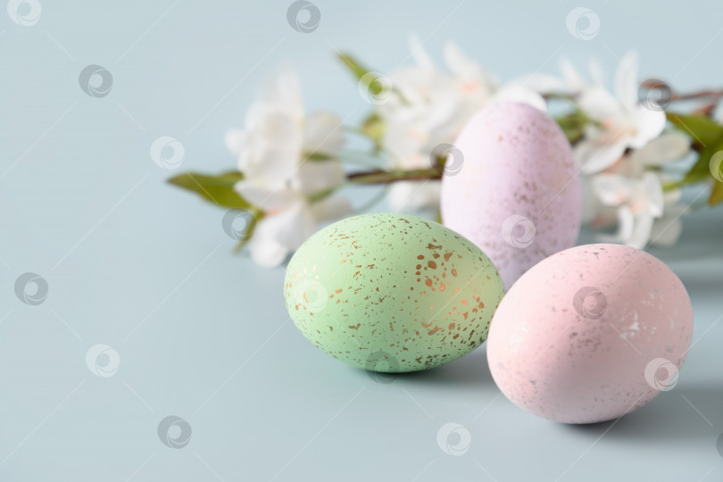 Скачать Пасхальная композиция с пастельными яйцами и распускающимися весенними цветами для счастливого праздника. фотосток Ozero