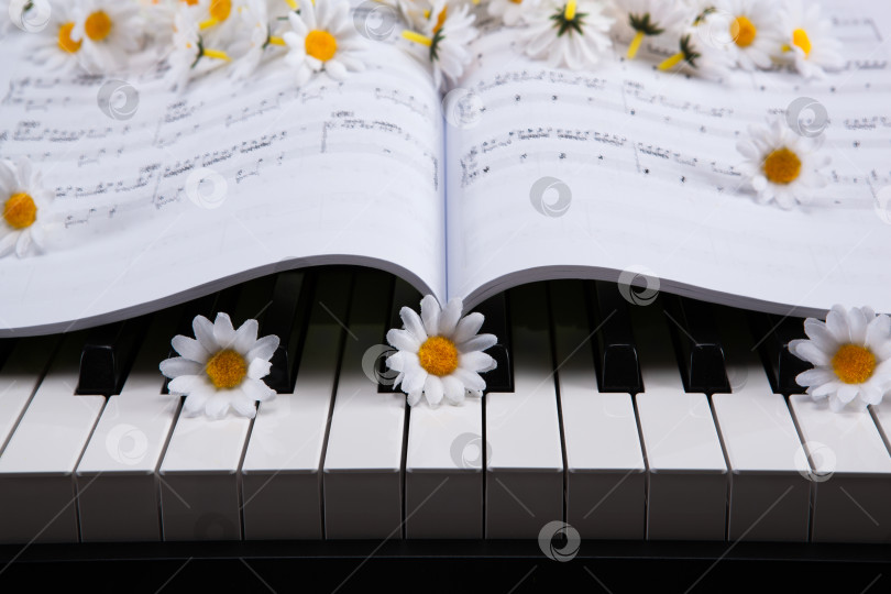 Скачать Клавиши пианино, нотная книга и цветок фотосток Ozero