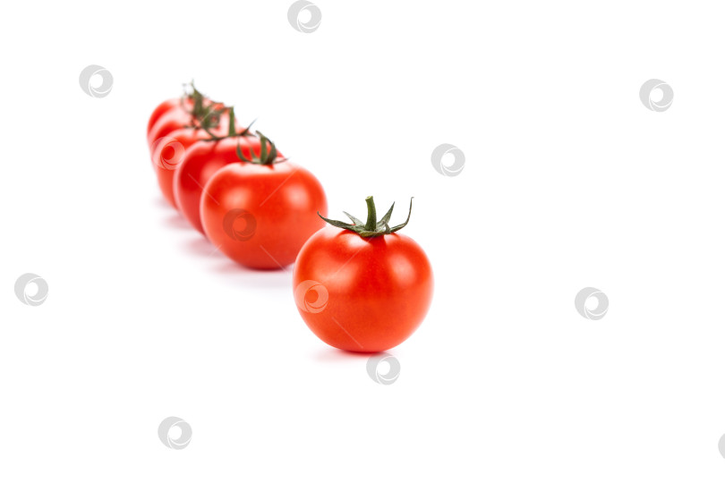 Скачать красные помидоры, выстроенные в ряд на белом фоне фотосток Ozero