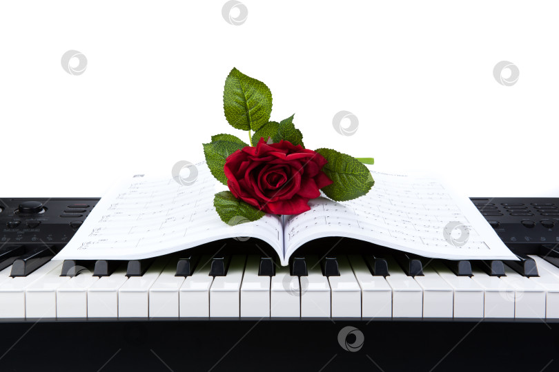 Скачать Клавиши пианино и цветок розы в записной книжке фотосток Ozero