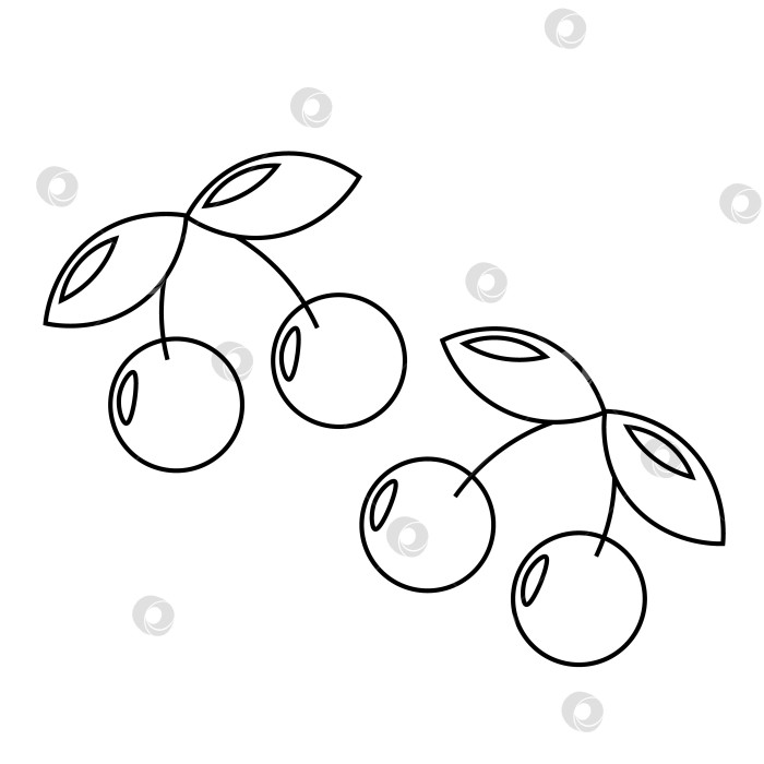 Скачать Две мультяшные вишневые ягоды с черно-белыми листьями фотосток Ozero