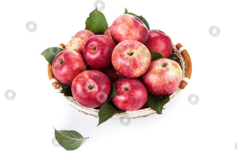 Скачать много яблок в корзине крупным планом фотосток Ozero