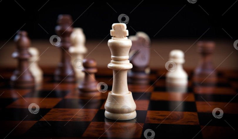 Скачать шахматные фигуры выстроились в ряд на сером фотосток Ozero