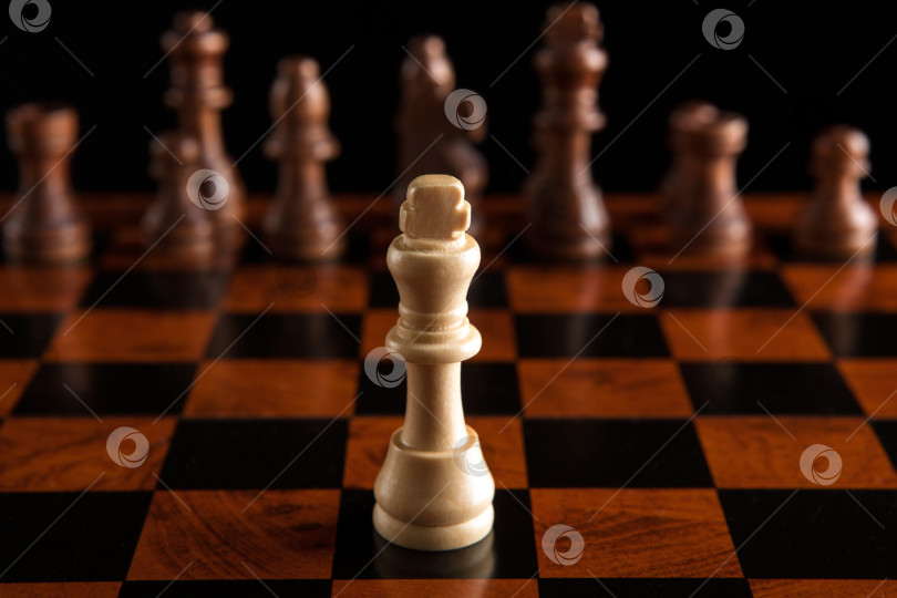 Скачать шахматная партия с королем в центре фотосток Ozero