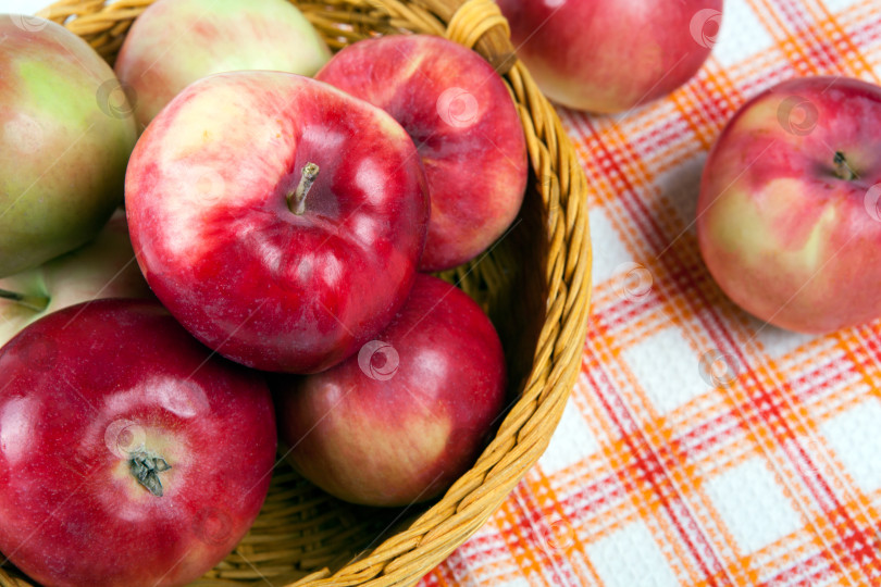 Скачать Натюрморт из множества яблок на салфетке в корзине фотосток Ozero