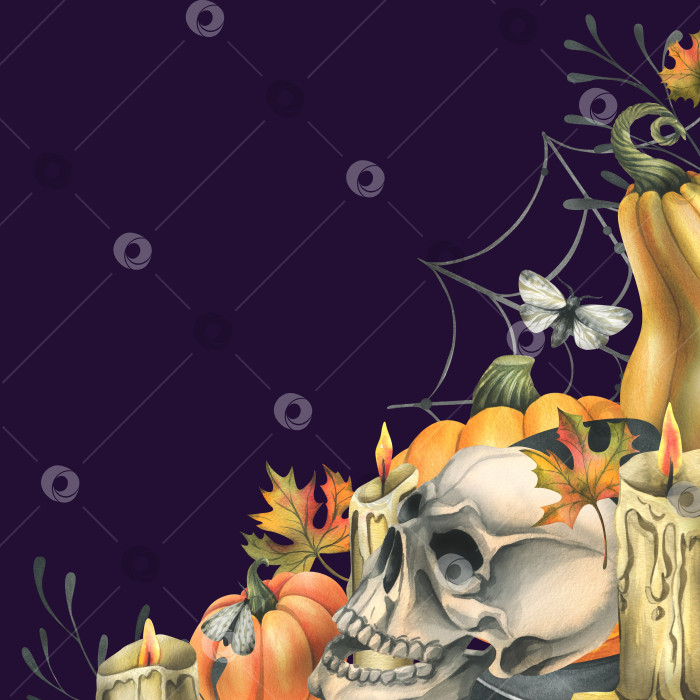 Скачать Человеческий череп с оранжевыми тыквами, свечами, ночными мотыльками, паутиной и осенними листьями. Нарисованная от руки акварельная иллюстрация к Хэллоуину и Дню мертвых. Шаблон на темно-фиолетовом фоне фотосток Ozero