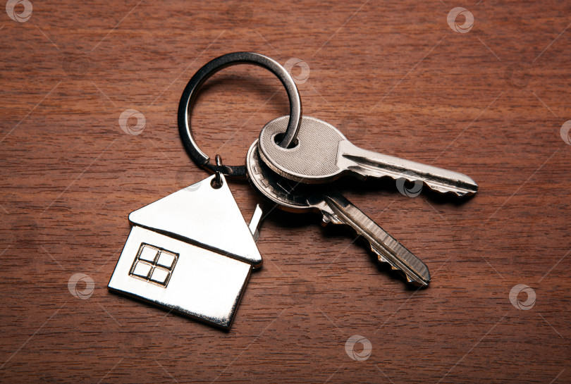 Скачать ключи от квартиры с брелоком в виде домика фотосток Ozero