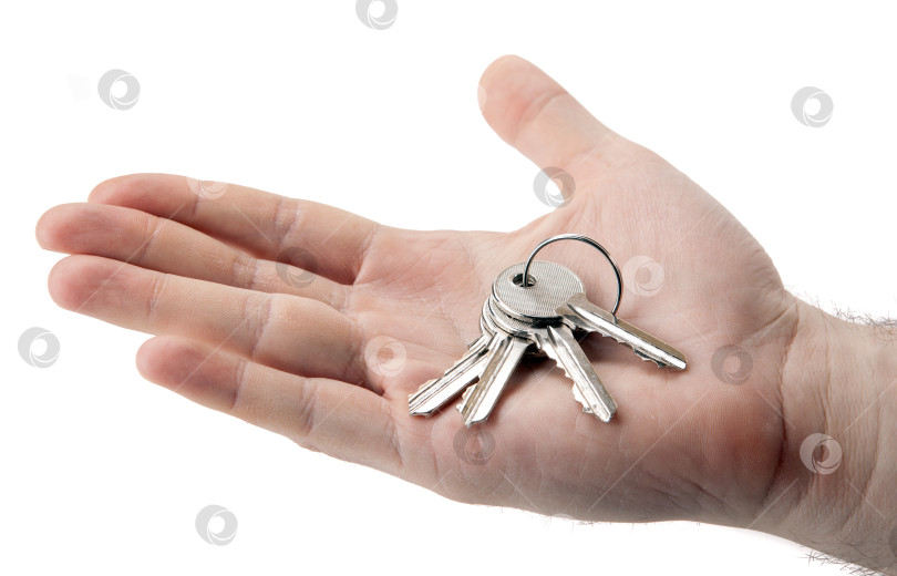 Скачать ключи от квартиры на ладони у человека фотосток Ozero