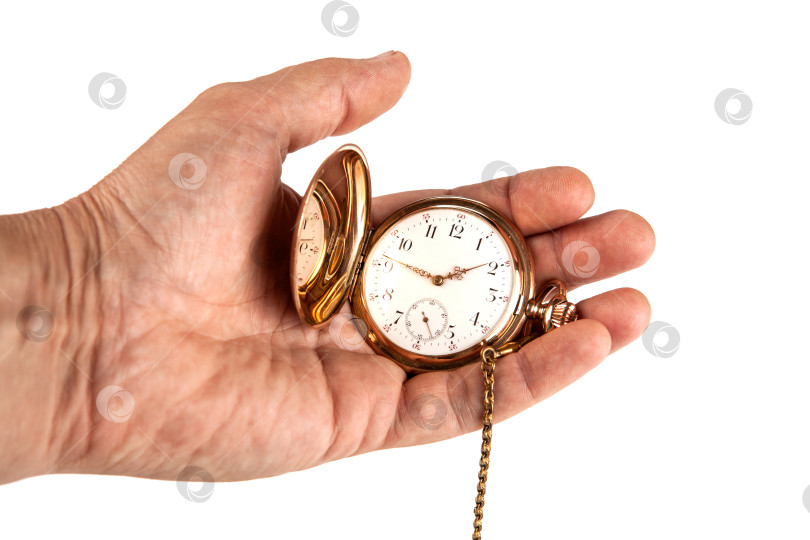 Скачать мужская рука держит старинные золотые карманные часы на белом фоне фотосток Ozero
