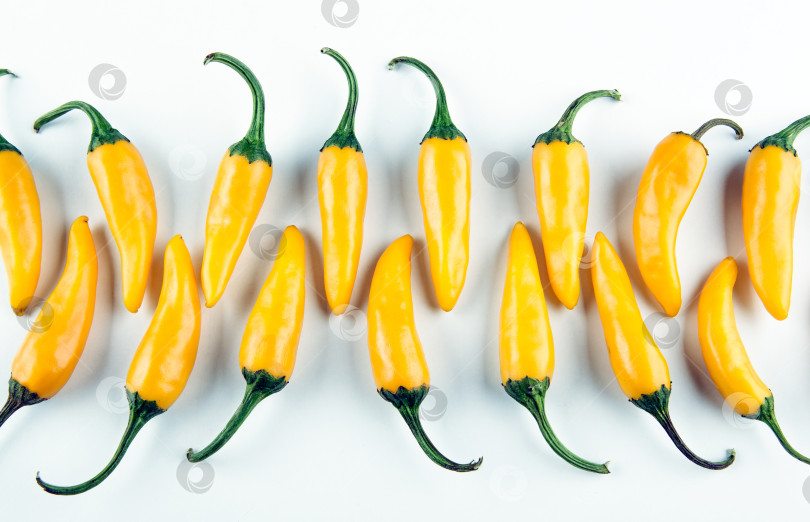 Скачать плоды желтого свежего перца чили в ряд на белом фоне фотосток Ozero