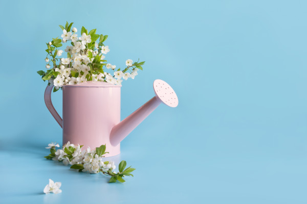 [object Object] undefined