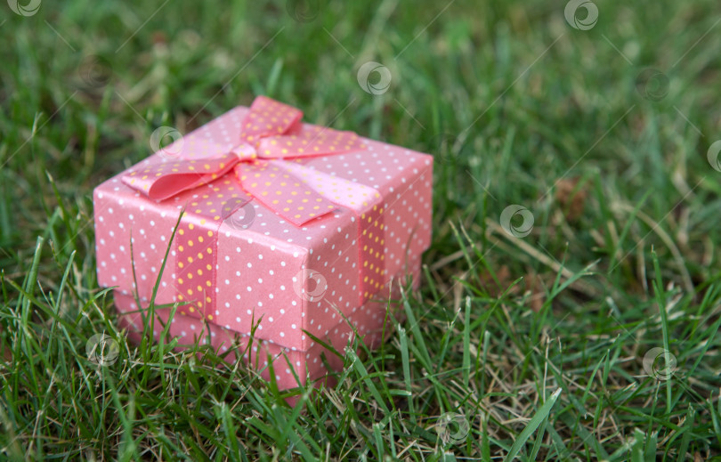 Скачать розовая подарочная коробка с бантом на зеленой лужайке фотосток Ozero