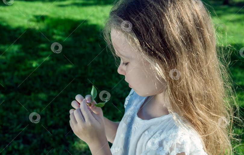 Скачать маленькая девочка в белом платье исследует листья на зеленом фоне крупным планом фотосток Ozero