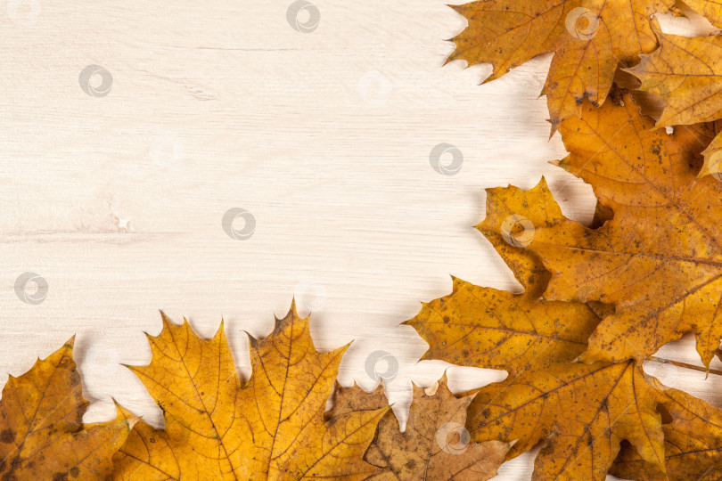 Скачать листва осенних листьев на деревянном фоне фотосток Ozero