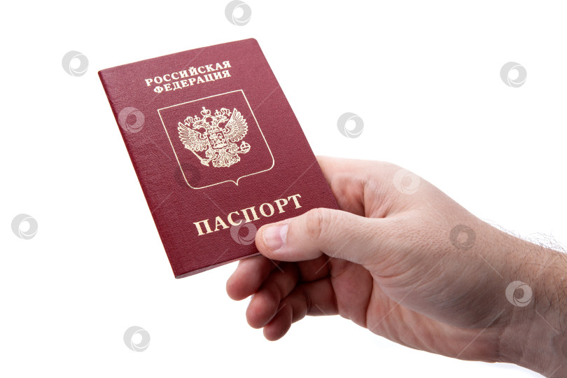Скачать Российский паспорт в руке мужчины на белом фоне в качестве удостоверения личности фотосток Ozero