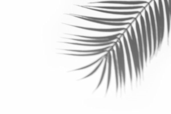 [object Object] undefined