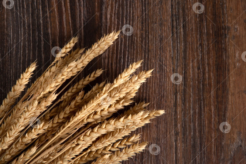 Скачать букет из колосьев пшеницы на деревянном столе вид сверху фотосток Ozero