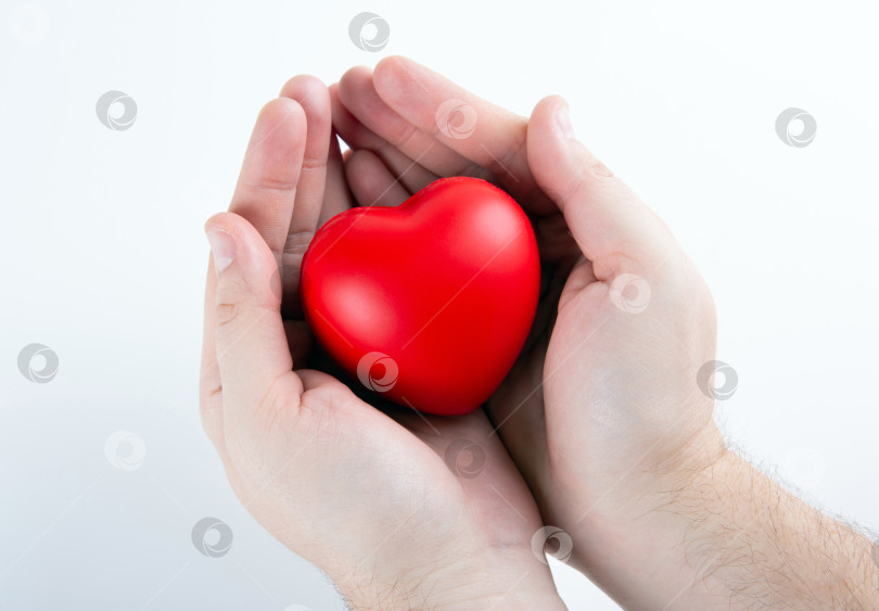 Скачать Большое красное сердце в человеческих руках крупным планом фотосток Ozero
