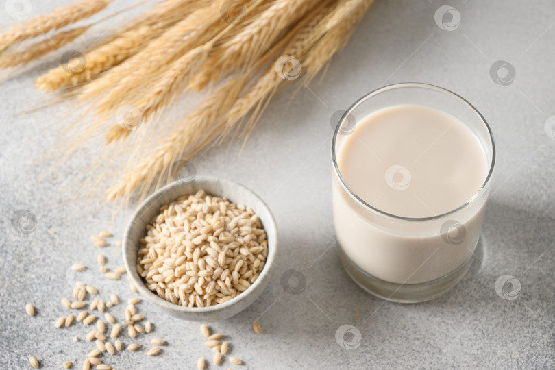Скачать Веганское зерновое ячменное молоко, заменитель молока на растительной основе. фотосток Ozero