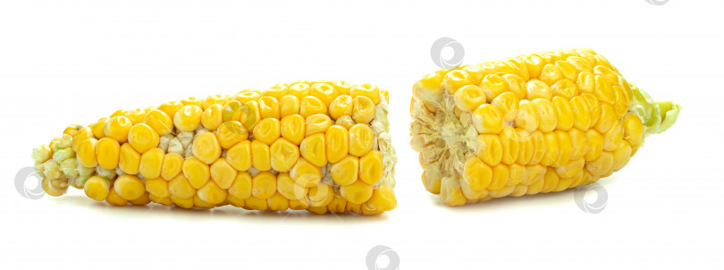 Скачать Желтая кукуруза, выделенная на белом фоне фотосток Ozero