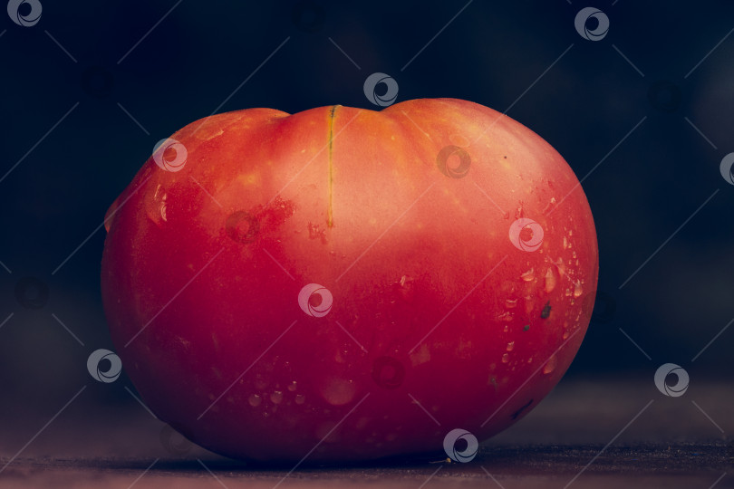 Скачать Красный помидор на деревянном столе крупным планом фотосток Ozero