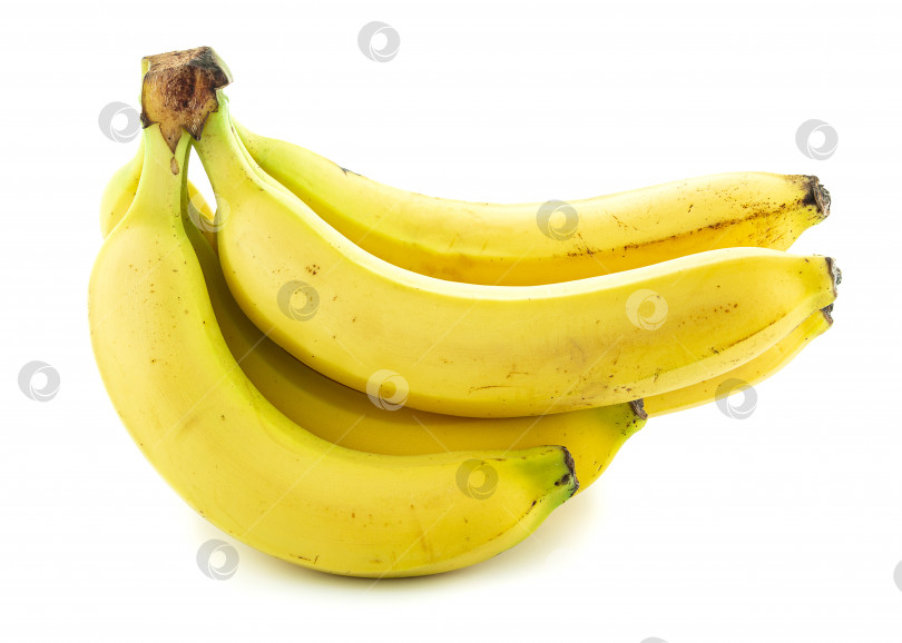 Скачать Желтые бананы на белом фоне фотосток Ozero