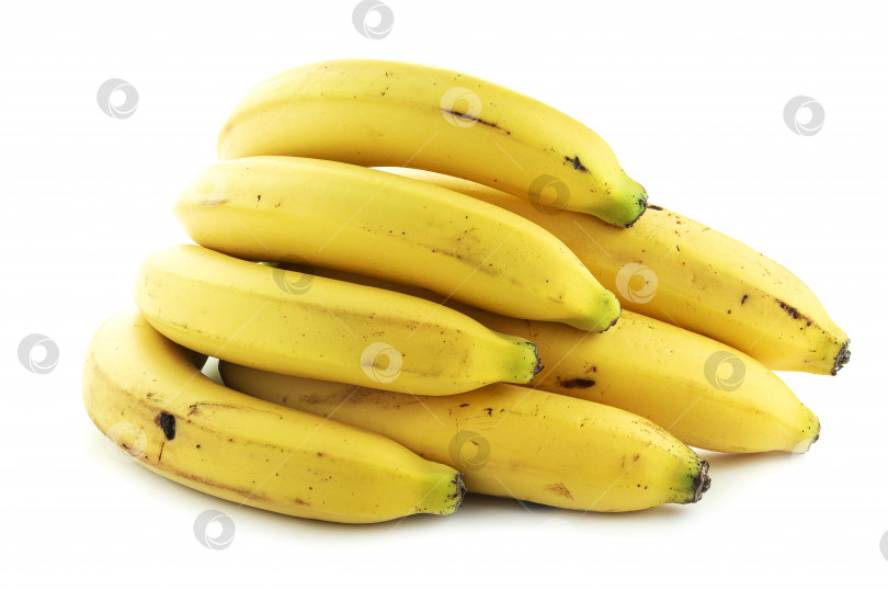 Скачать Желтые бананы на белом фоне фотосток Ozero