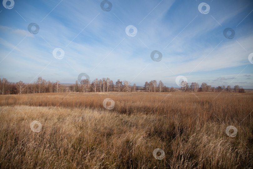 Скачать Осенний пейзаж фотосток Ozero